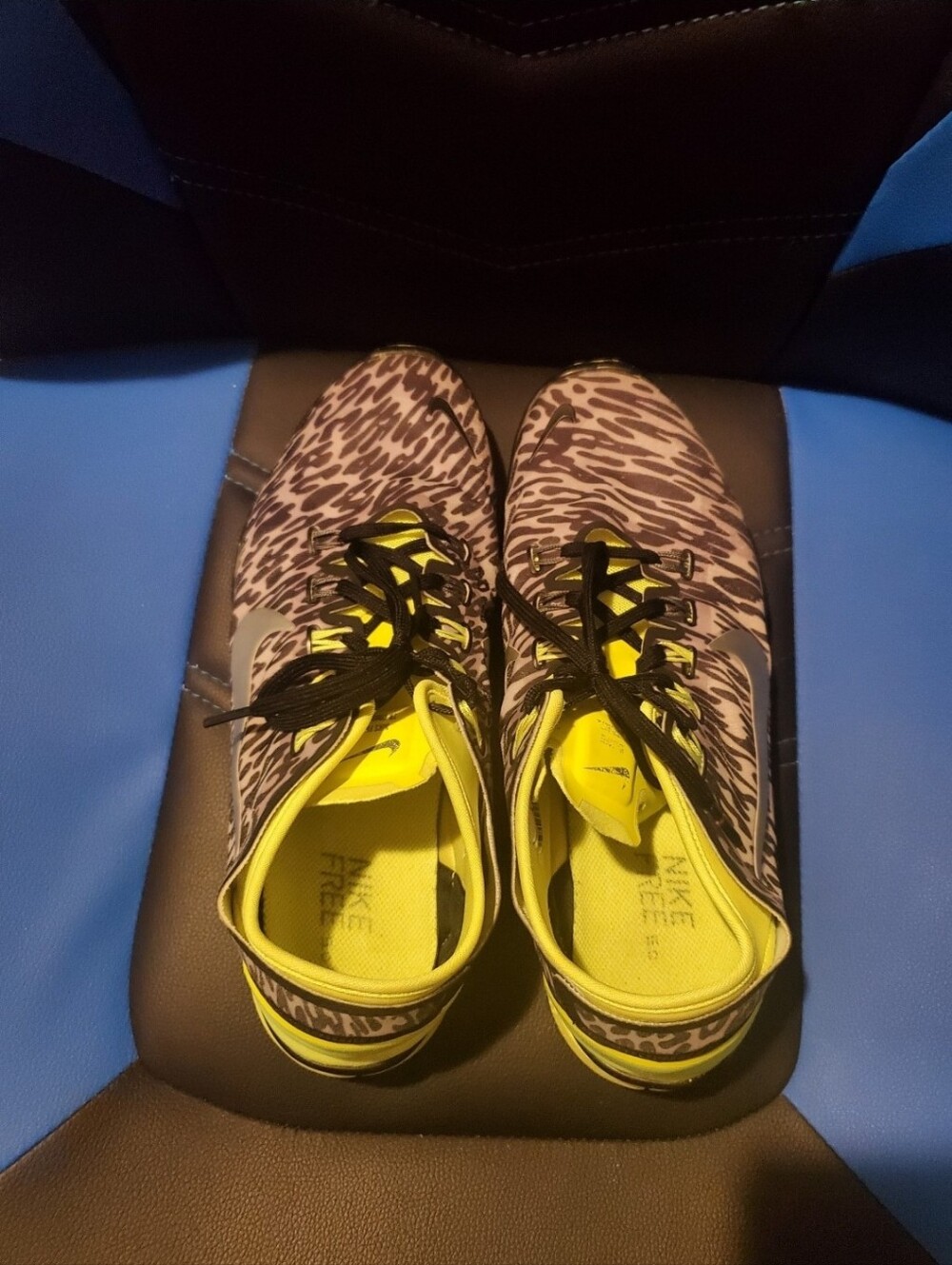 Nike Women’s Running Shoes